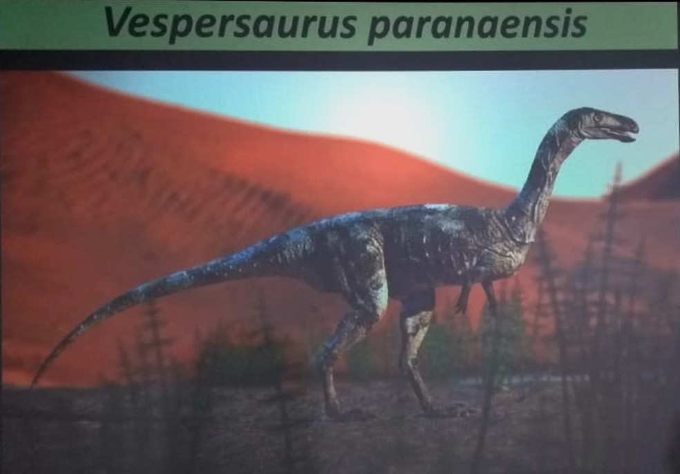 Pesquisadores deram o nome de Vespersaurus paranaensis a nova espécie de dinossauro descoberta — Foto: Eduardo Cavalari/RPC
