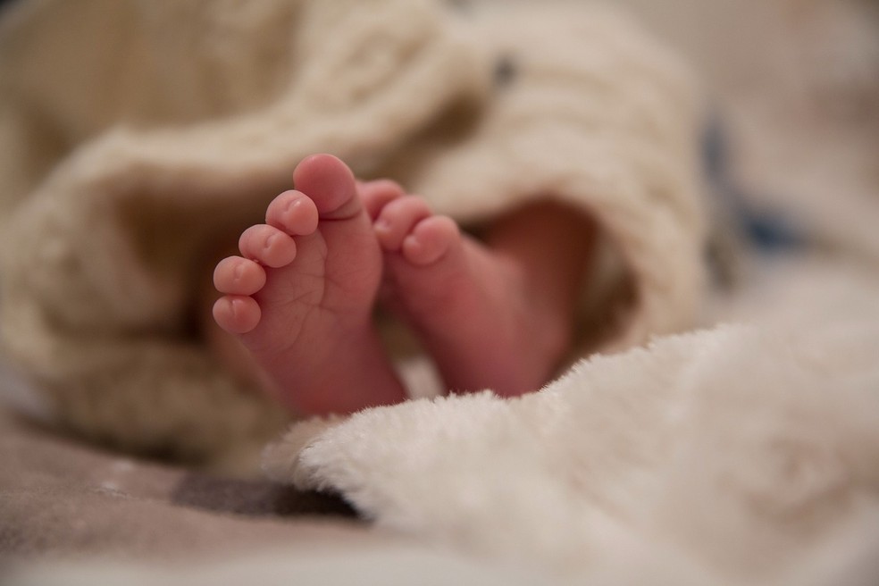 Recém-nascido  — Foto: Batoni/Pixabay