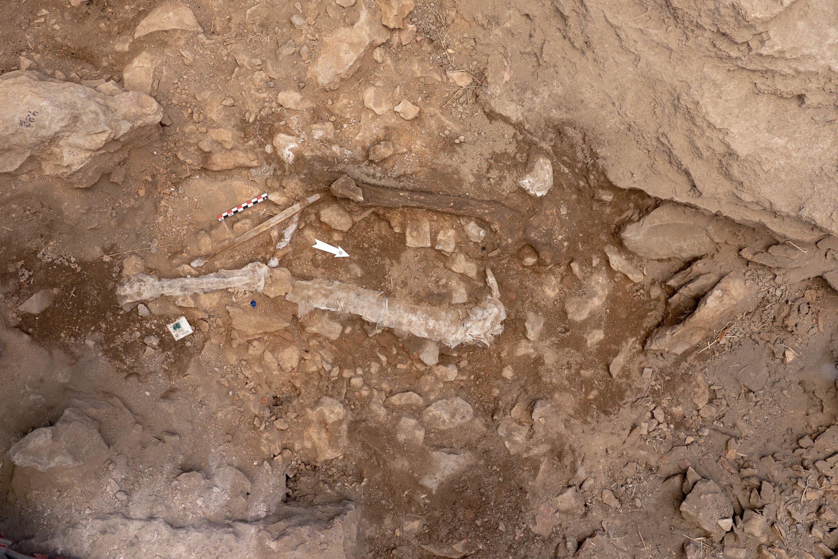 Restos mortais de mulher que morreu no final do Paleolítico Superior foram descobertos na Espanha  (Foto: CEPA)