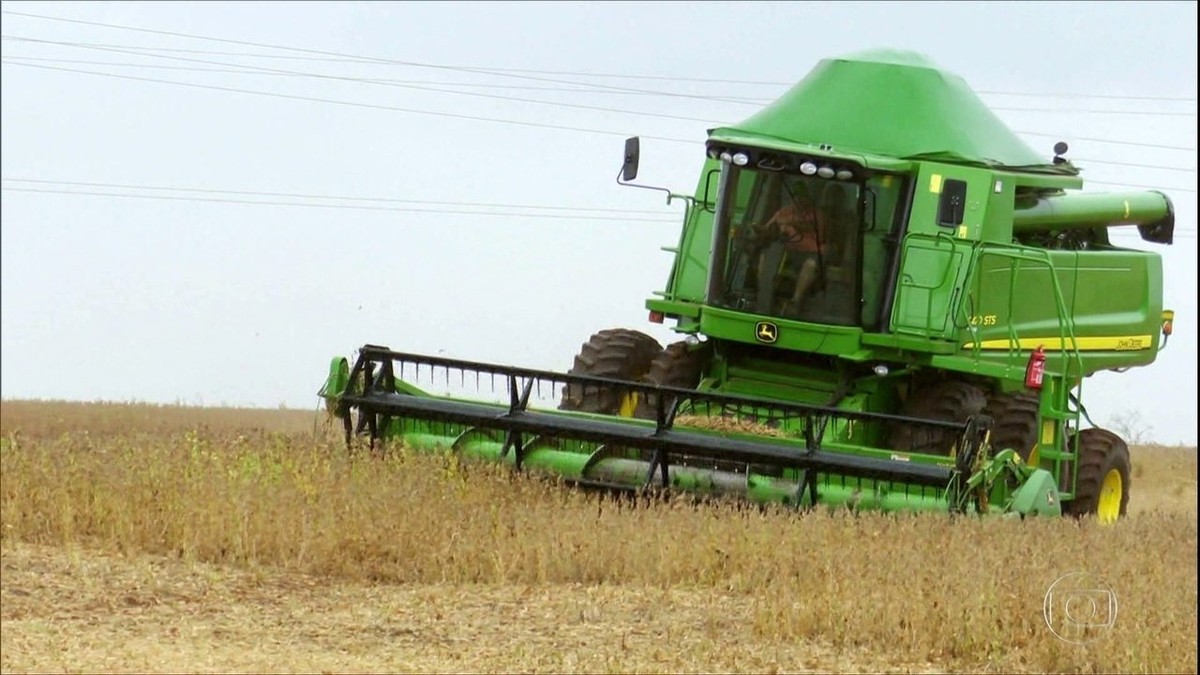 Produtores de soja do Paraná começam a colheita com expectativa de safra cheia thumbnail