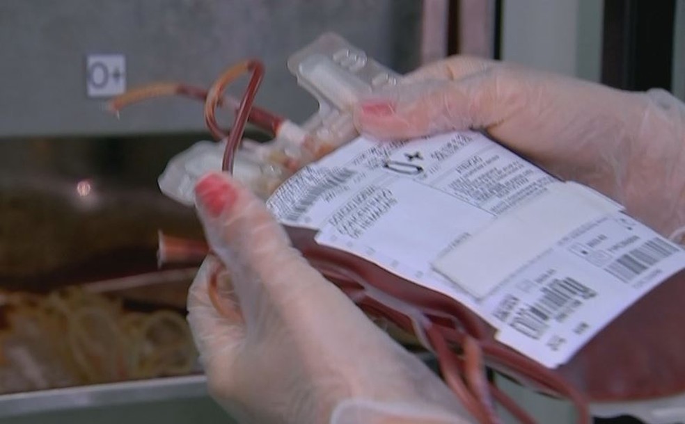 Bolsa de sangue considerado raro são minoria: no Hemocentro do HC de Botucatu, só 138 entre 10 mil doadores estão nessa condição — Foto: Reprodução/Tv Tem