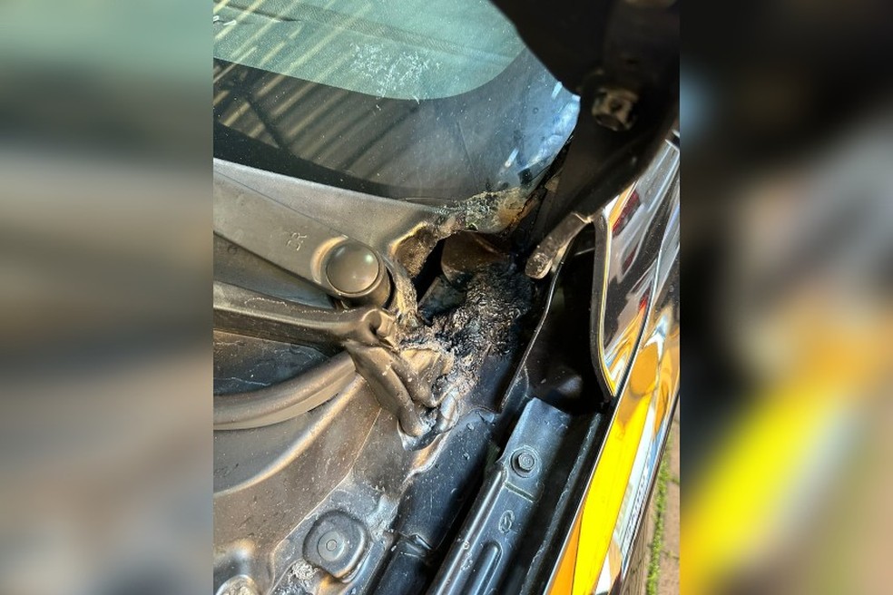 Veículo atingido pelo fogo  — Foto: Arquivo pessoal 