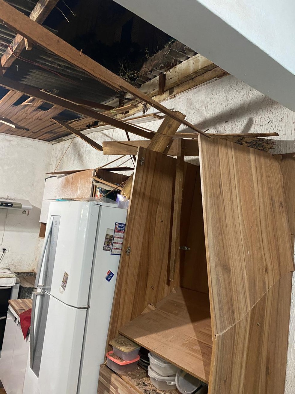 Égua caiu do telhado e parou na cozinha de uma casa em Presidente Prudente — Foto: Cedida/CCZ