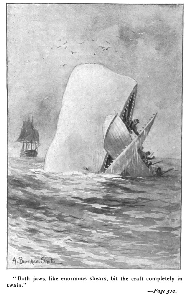 Ilustração de uma das primeiras edições de Moby Dick (Foto: Moby-Dick edition - C. H. Simonds Co)