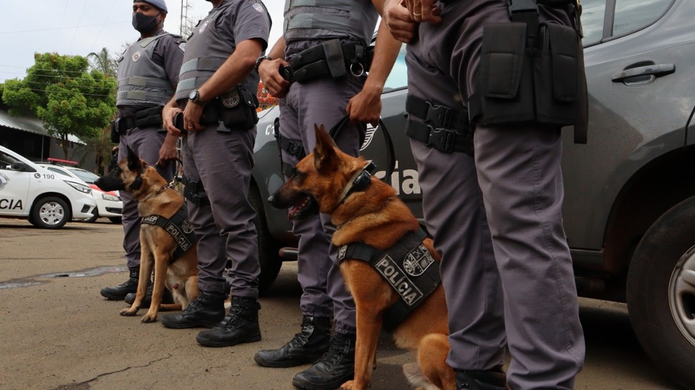 Equipe do canil participou de operação em Pirassununga — Foto: Polícias Civil e Militar/Pirassununga