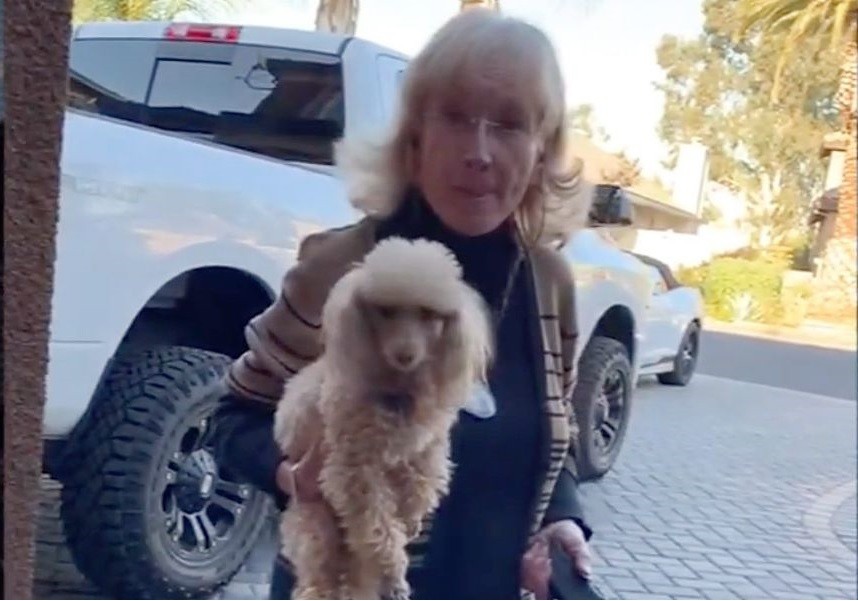 Adana aparece no vídeo com o poodle no colo e uma arma de choque em uma das mãos (Foto: Reprodução Twitter)