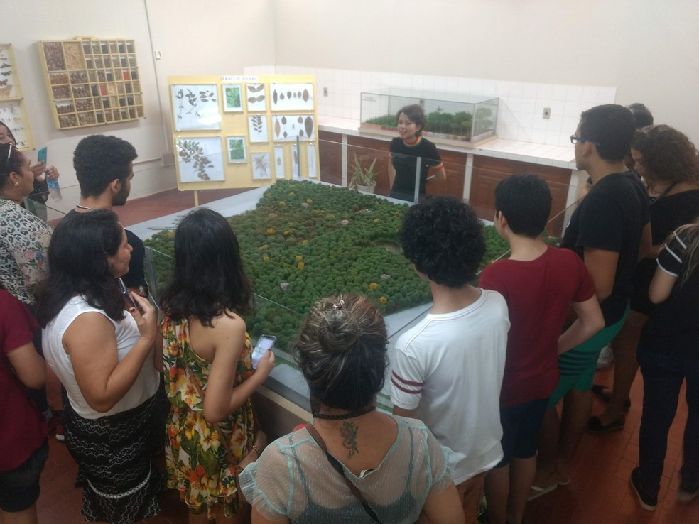 Espaço tem ainda laboratório que é usado por alunos e pesquisadores do estado — Foto: Arquivo/Parque Zoobotânico 