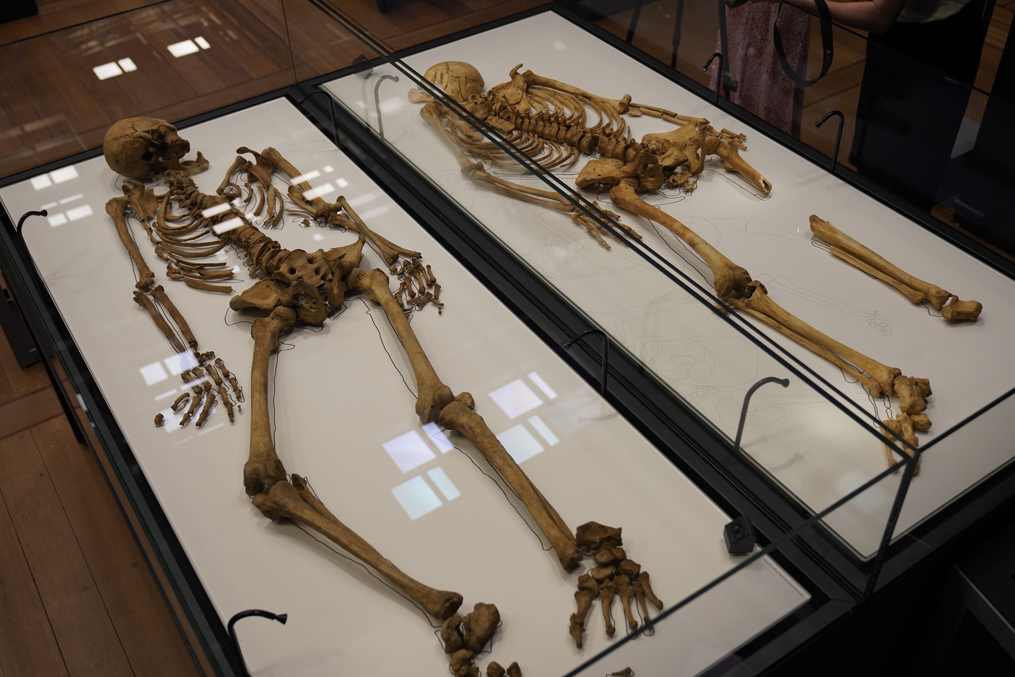 Esqueletos de dois parentes viking se reencontraram no Museu Nacional da Dinamarca (Foto: Nationalmuseet/Facebook/Reprodução)