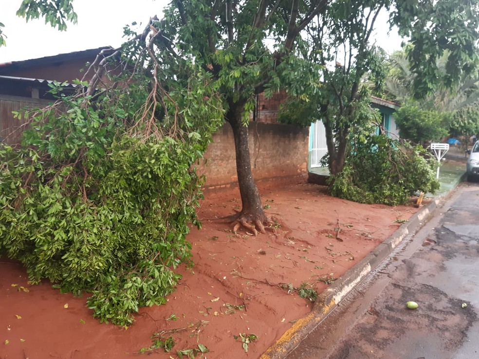 Temporal com chuva de granizo provocou estragos em Martinópolis — Foto: Defesa Civil