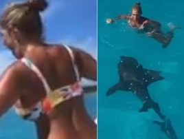 Mulher é surpreendida por tubarão de 3m ao pular no mar; vídeo (Reprodução )