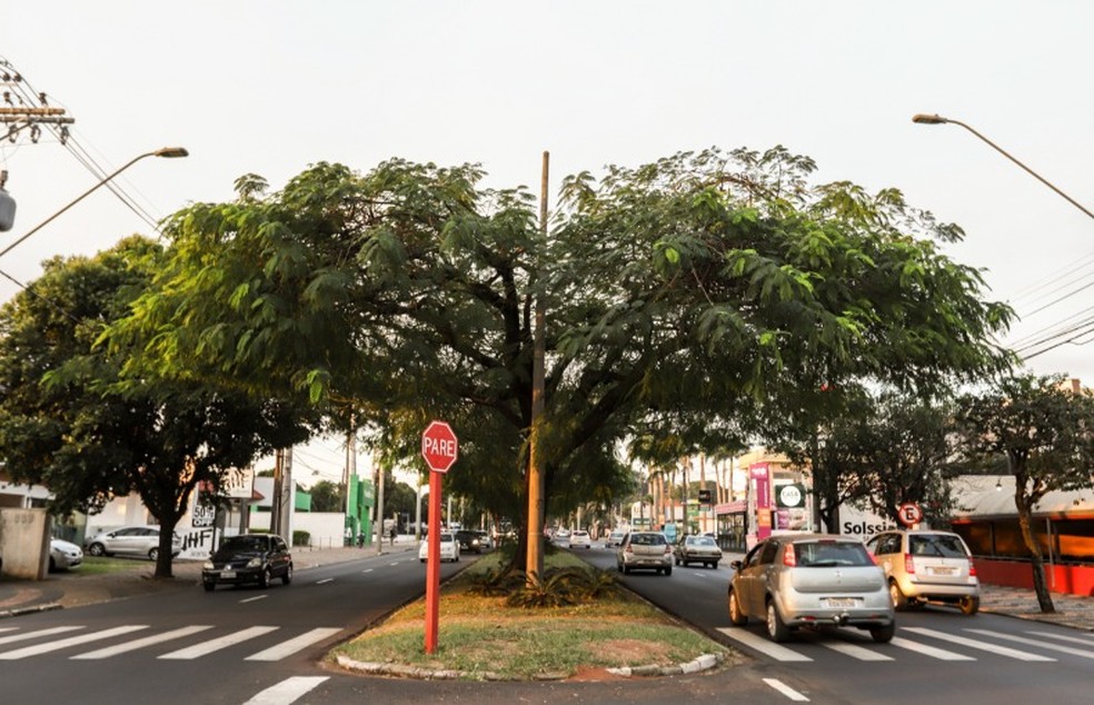 Opera&ccedil;&atilde;o "Sem Aglomera&ccedil;&atilde;o" autua cinco pessoas sem m&aacute;scara em Araraquara &mdash; Foto: Amanda Rocha/ACidade ON Araraquara
