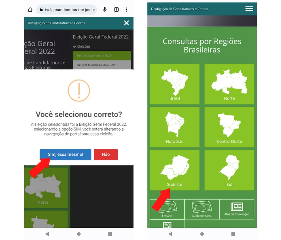 Portal do TSE permite acesso ao perfil de candidatos em todas as regiões brasileiras — Foto: Reprodução/Mariana Tralback