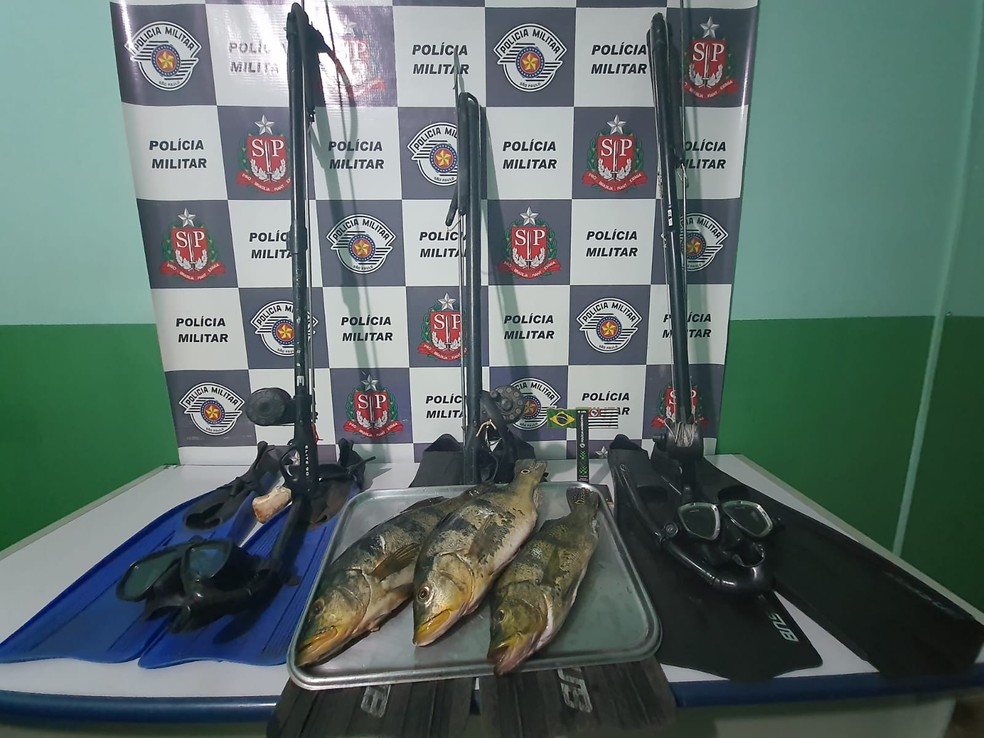 Homem &eacute; multado em mais de R$ 1 mil por pesca predat&oacute;ria durante Piracema, em Rosana (SP) &mdash; Foto: Pol&iacute;cia Ambiental