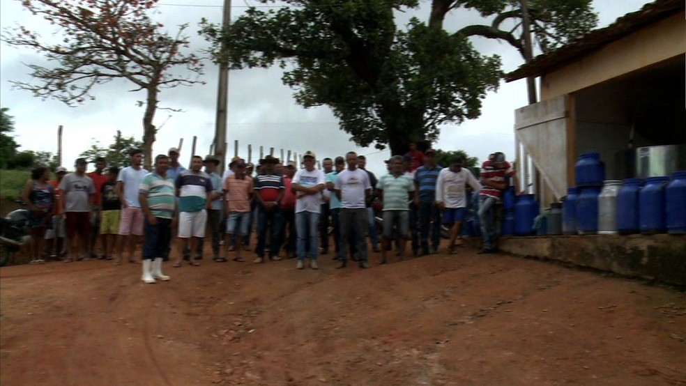 Produtores de Mar Vermelho, Alagoas, dizem estar há 3 meses sem receber do Programa do Leite — Foto: Reprodução/TV Gazeta