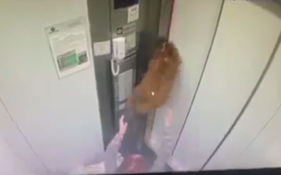 Mulher correu para socorrer cachorro que ficou pendurado ao ser puxado por elevador em movimento — Foto: Reprodução/Facebook/Boca no Trombone PG