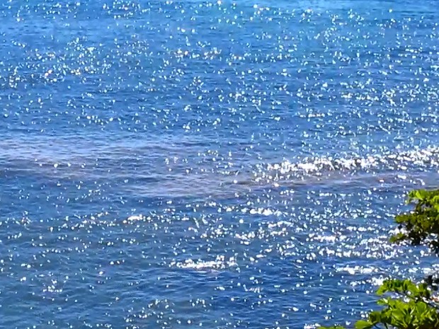 Mancha foi vista em três praias do balneário  (Foto: Zilma Cabral/Folha de Búzios)