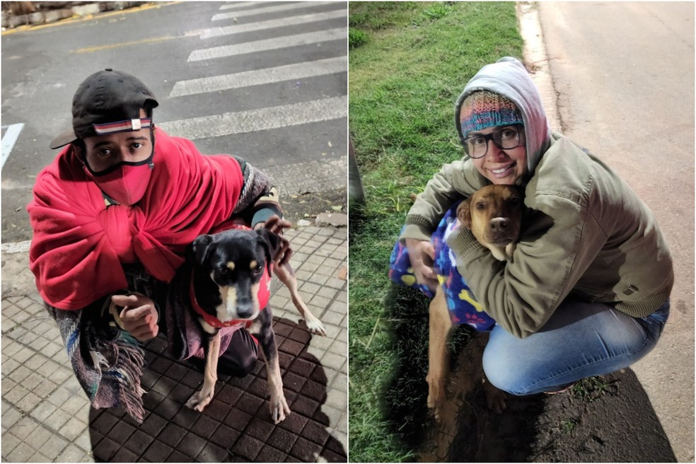 Animais de rua ganham roupinhas durante noites geladas em Itapetininga (SP) — Foto: UIPA/ Divulgação