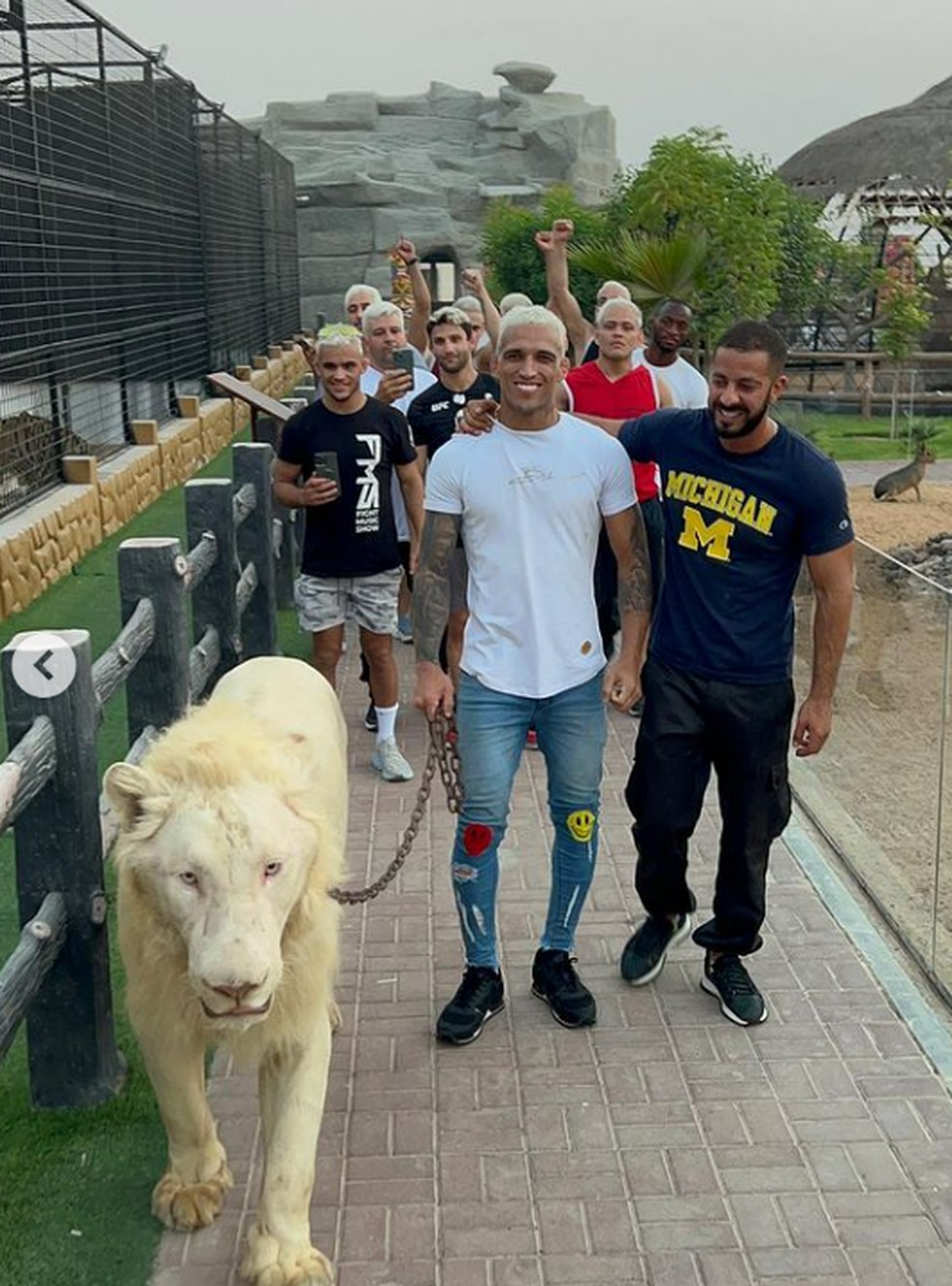 Charles do Bronx passeando com leão em Dubai — Foto: Reprodução / Instagram