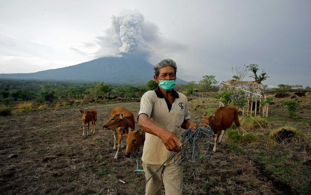 Aldeão conduz suas vacas em região próxima ao vulcão do Monte Agung (Foto: Firdia Lisnawati / AP Photo)