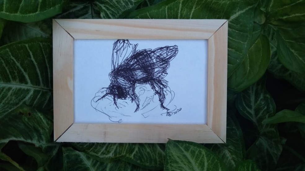 Perfil Na Web Troca Desenhos Por Doacoes Para Familias Carentes Em Sao Jose Dos Campos Vale Do Paraiba E Regiao G1 Que no cunda el pánico, porque si lo deseas puedes dar rienda suelta a tu creatividad y crear tu propia imagen personalizada. perfil na web troca desenhos por