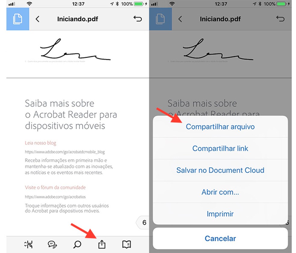 Opção para criar um compartilhamento para um documento assinado usando o Adobe Reader no celular (Foto: Reprodução/Marvin Costa)