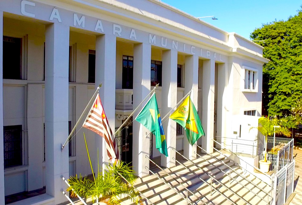  Câmara de Bauru (SP) aprova projeto que obriga condomínios a comunicar casos de violência doméstica — Foto: Câmara de Vereadores Bauru/Divulgação