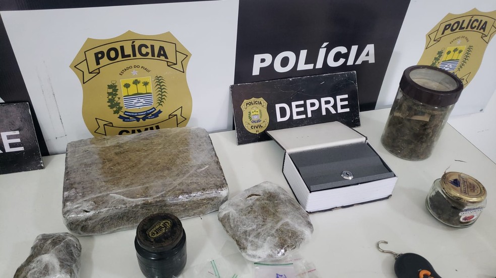 Polícia apreende vários tipos de drogas sintéticas em apartamentos na zona sudeste de Teresina — Foto: Polícia Civil