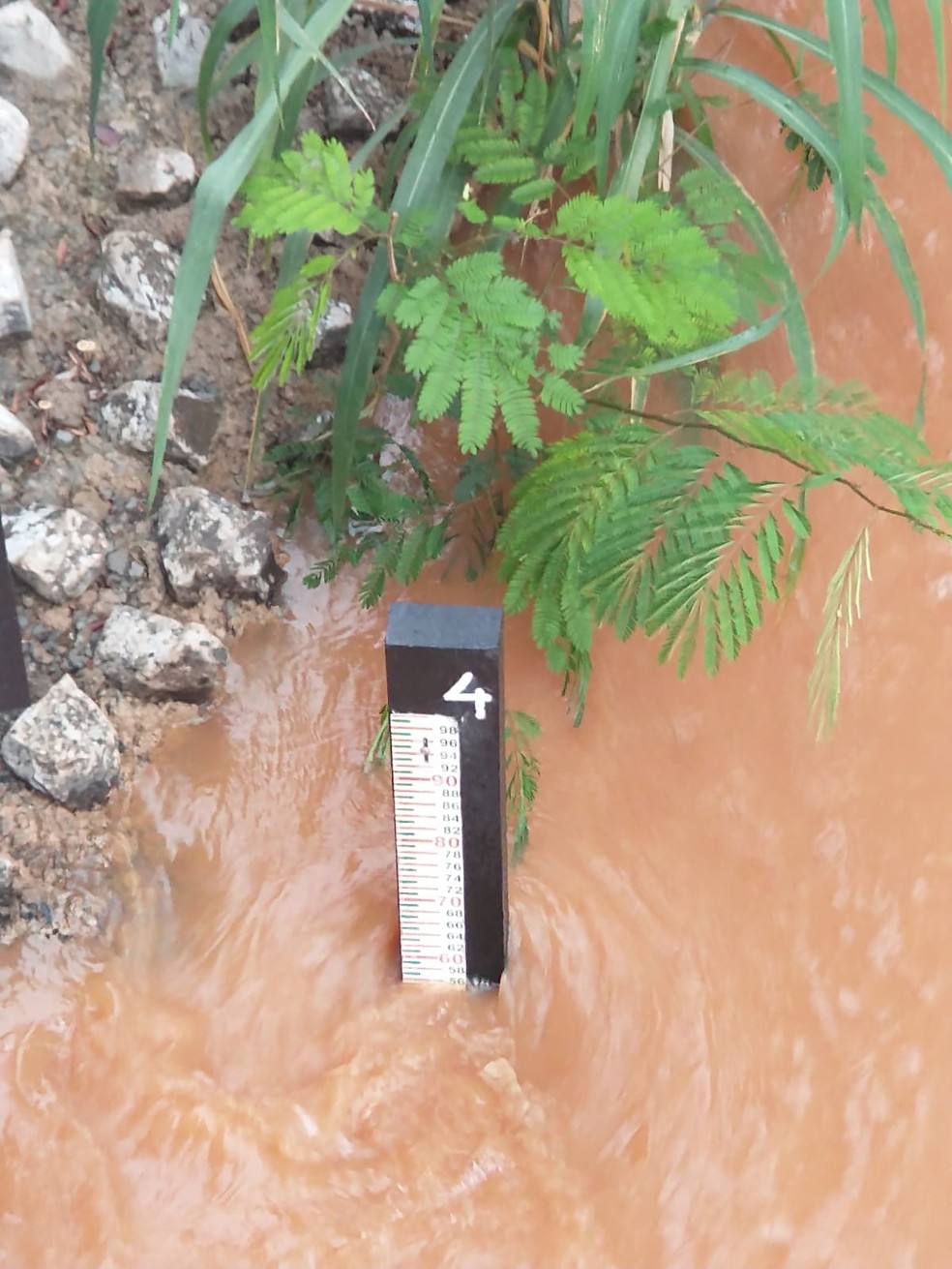 Segundo a Defesa Civil, Rio Jacaré subiu 3,6 metros após chuva em Bocaina — Foto: Defesa Civil/Divulgação