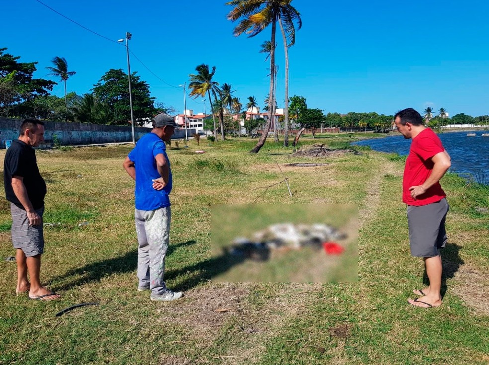 Moradores encontraram os animais mortos na manhã deste sábado (12) — Foto: Ricardo Mota/Sistema Verdes Mares