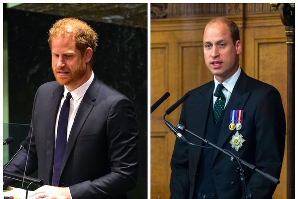 O Príncipe Harry em pronunciamento na ONU em julho de 2022 e o Príncipe William em evento na Escócia em maio de 2021 (Foto: Getty Images)