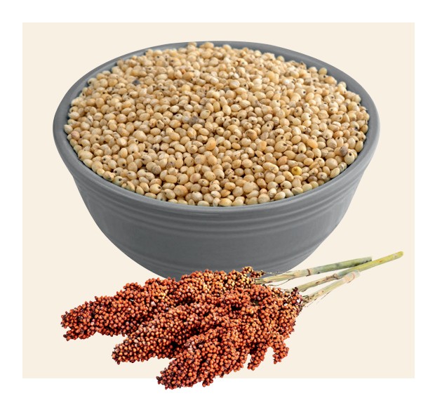 A nova quinoa (Foto: Thinkstock)