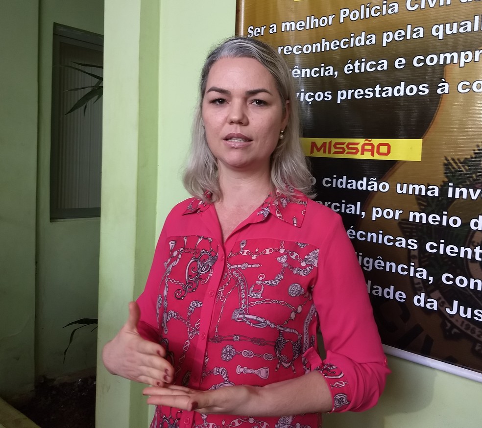 Coordenadora da Depca, Elenine Frez, falou sobre as prisões na manhã desta quinta (7) (Foto: Aline Nascimento/G1)