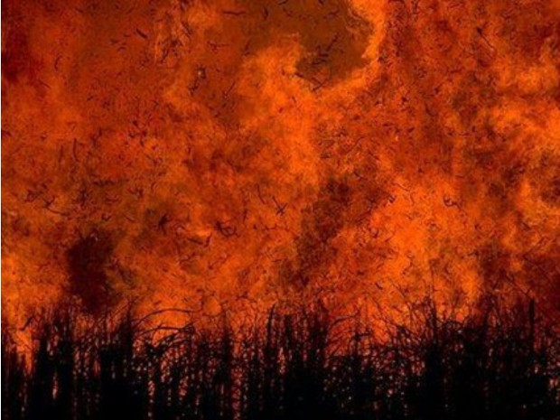 Área de canavial está desde quinta-feira (18) em chamas (Foto: Diário de Olímpia / Leonardo Concon)