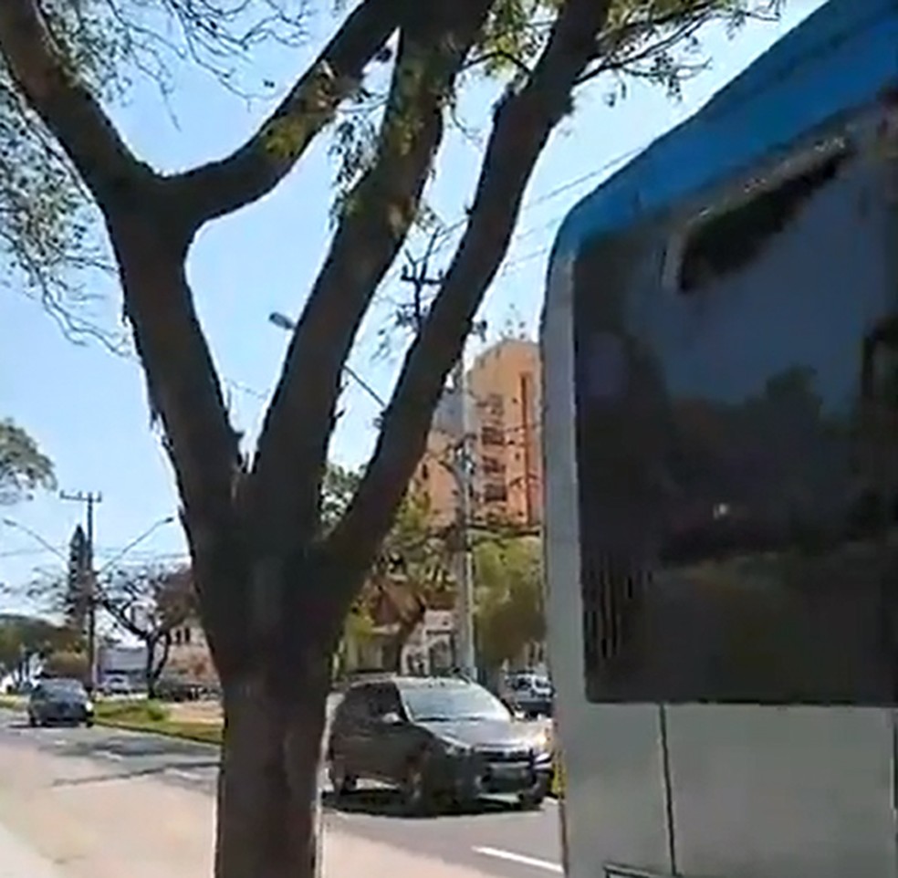 Onibus Do Brt Bate Em Arvore No Terceiro Dia De Operacao Em Sorocaba Sorocaba E Jundiai G1