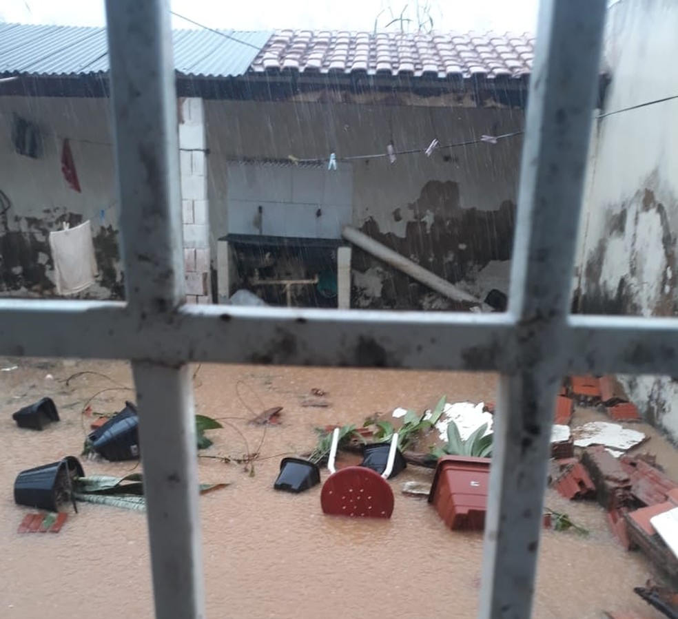 Em Oeiras no dia 15, véspera do início da estação, Inmet registrou 102,5 mm em um único dia de chuvas.  — Foto: Reprodução