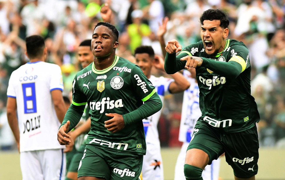 Endrick comemora gol do Palmeiras contra o Água Santa — Foto: Marcos Ribolli