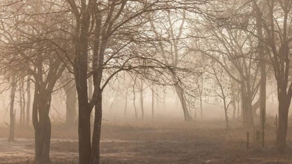  — Foto: Bruna Obadowski/A Lente via BBC