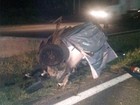 Casal morre em acidente entre carro e carreta na Fernão Dias em Itapeva, MG
