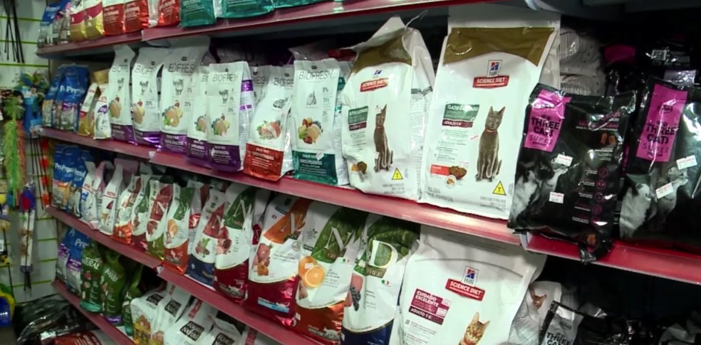 Em clínicas veterinária e pet shops existem materiais básicos para o cuidado com o felino. — Foto: Reprodução / TV Clube