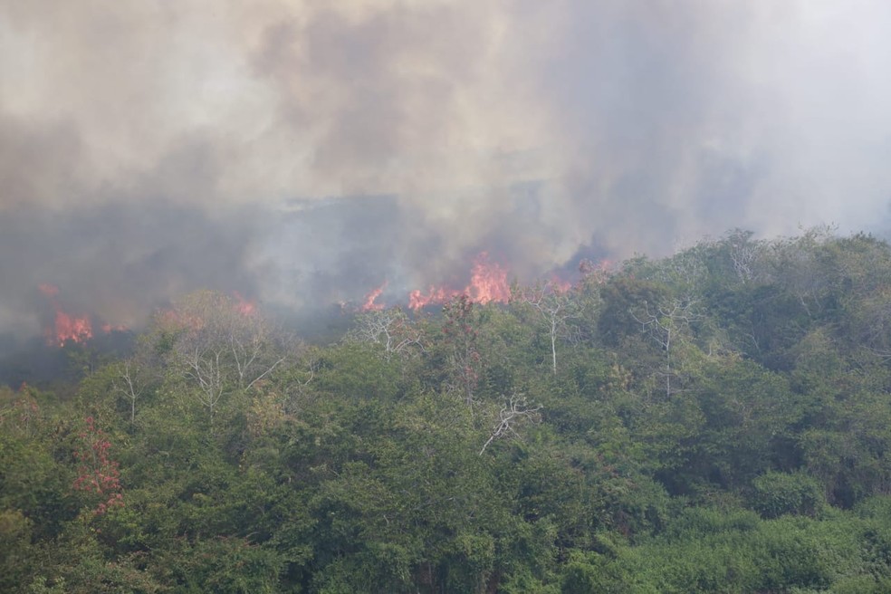 Esse é o maior incêndio registrado no Pantanal — Foto: Jeferson Prado