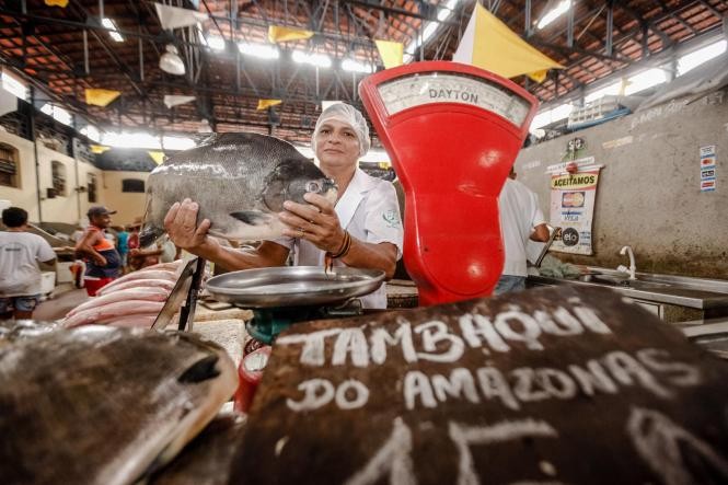 Governo publica decreto que restringe venda de pescados para fora do Pará entre 1º e 15 de abril
