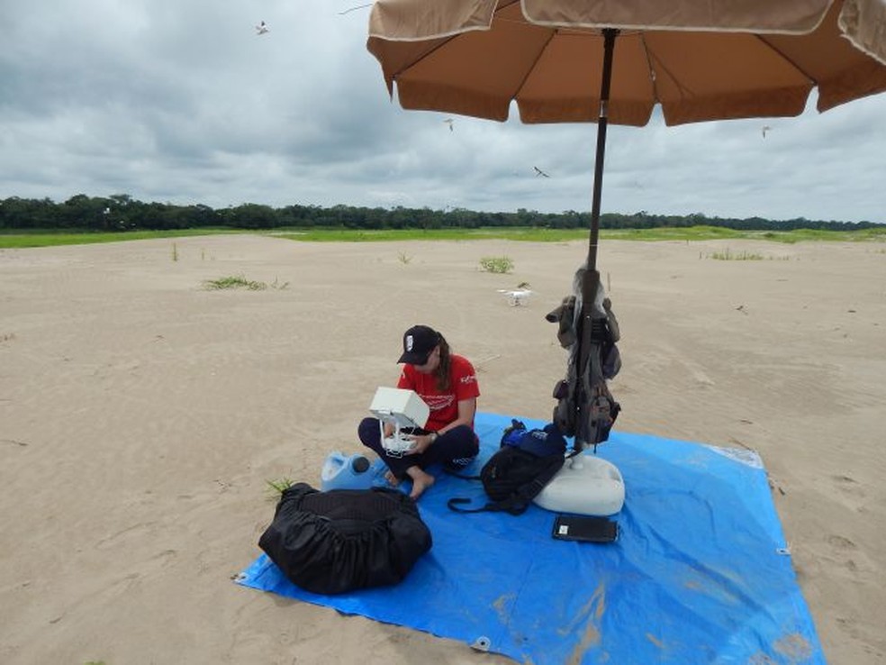 Pesquisadores analisam comportamentos de quelônios em região no Amazonas — Foto: André Coelho