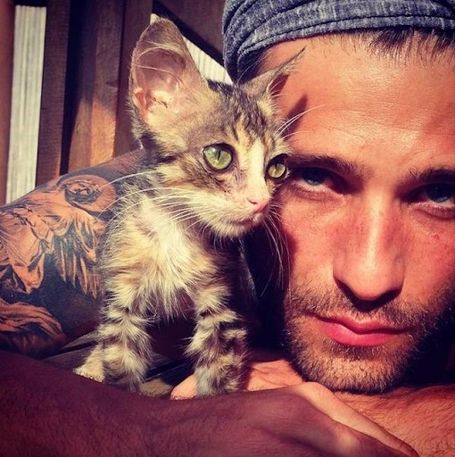 Bruno Gagliasso e seu gatinho (Foto: Reprodução/ Instagram)