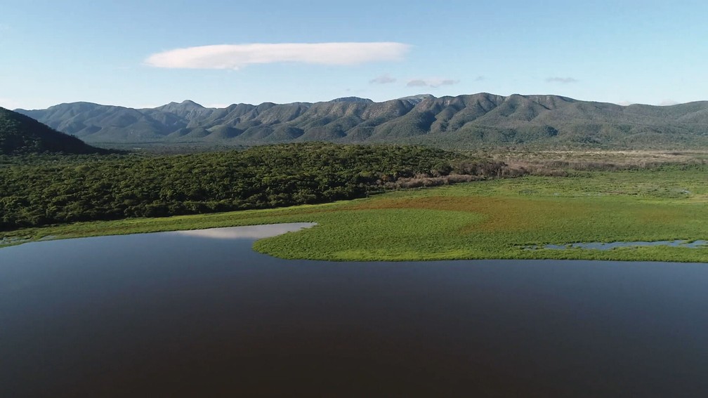 Aos poucos, o Pantanal vai se regenerando e voltando a apresentar as paisagens que o mundo conhece — Foto: Globo Repórter