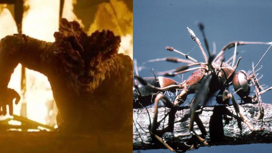 Apocalipse zumbi da série 'The Last of Us' deriva de mutação em um tipo de fungo chamado Cordyceps