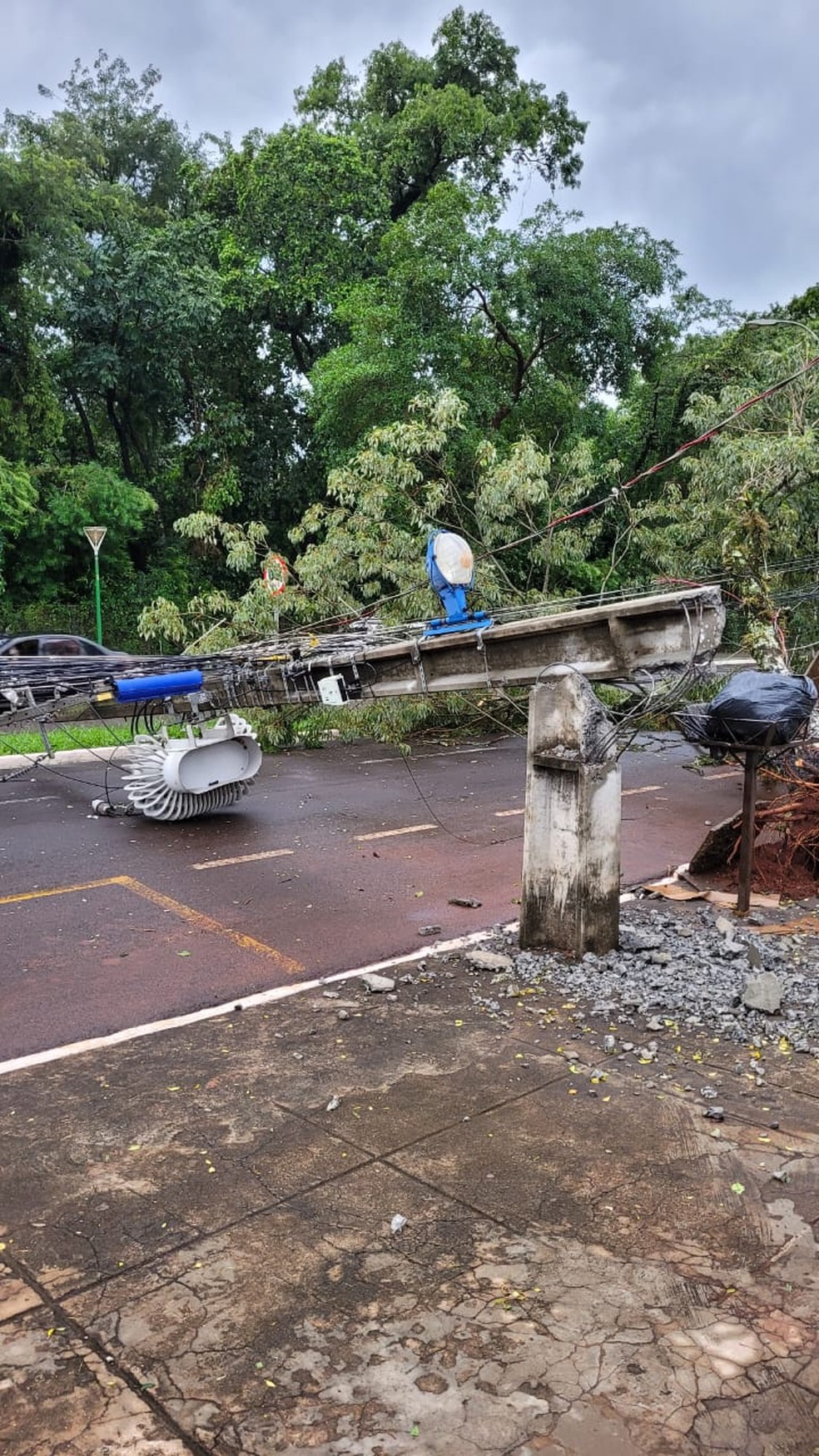 Chuva causou estrago em Maringá — Foto: Honório Silva/RPC