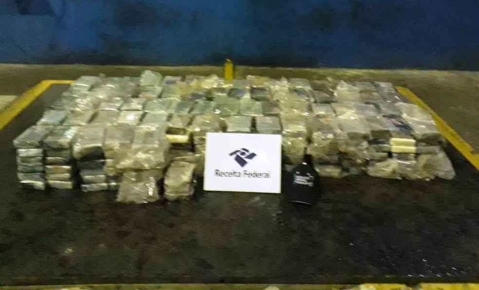 Carregamento de cocaína foi localizado e apreendido no Porto de Santos, SP — Foto: G1 Santos