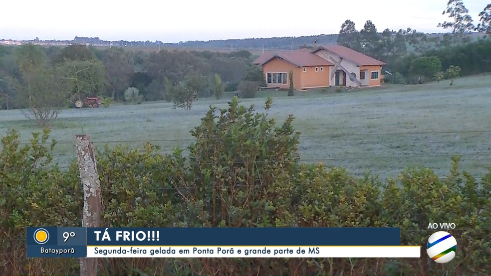 Campo ficou `branquinho` na área rural de Ponta Porã, MS — Foto: TV Morena/Reprodução