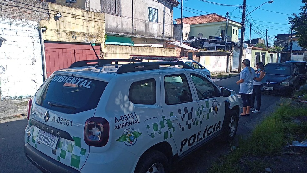 PM Ambiental atuou em operação em imóvel em Guarujá, SP — Foto: Divulgação/Polícia Militar Ambiental