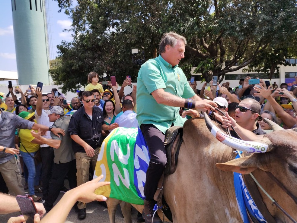 Presidente Jair Bolsonaro (PL) monta em touro durante agenda de campanha em Petrolina — Foto: Emerson Rocha/g1 